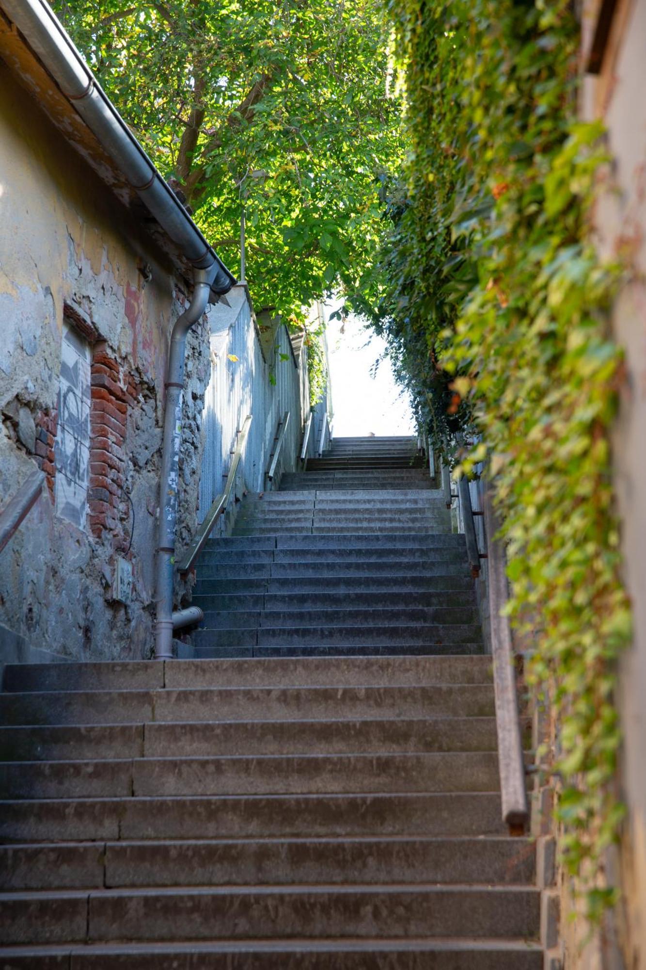 Rezidence Plesivec - Rodinny Apartman S 3 Loznicemi Český Krumlov Exterior foto